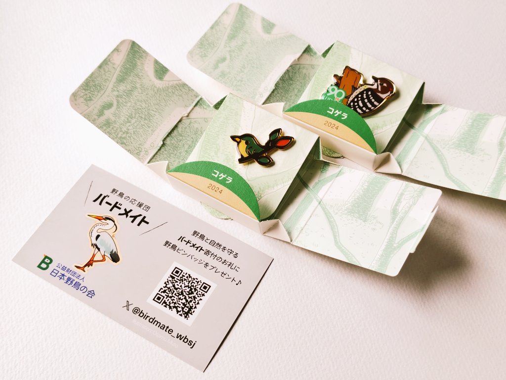 バードメイト推し 🎁企画、当選おめでとうございます ⁰⊖⁰)🎉 日本野鳥