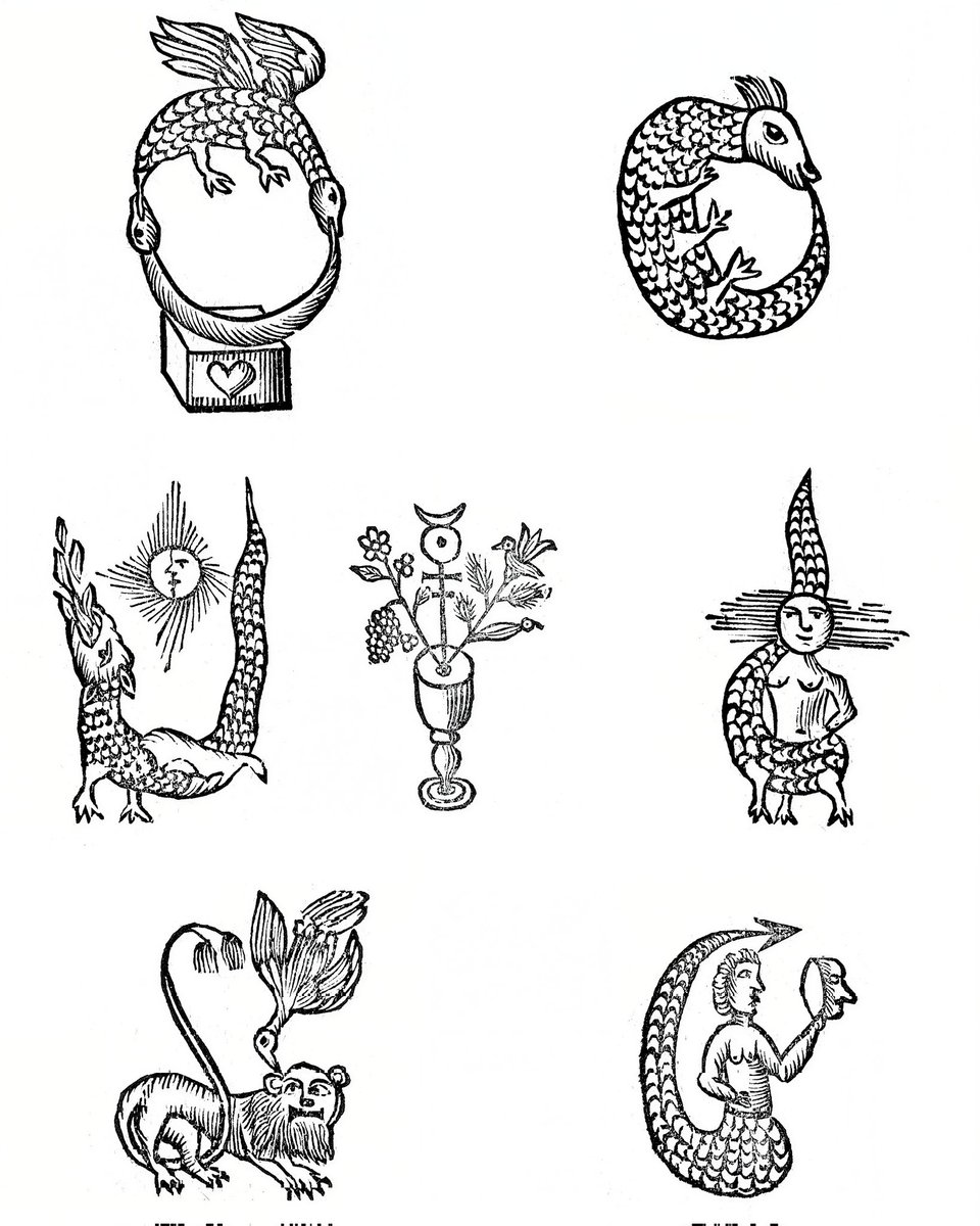 Archaeology & Art tweet media
