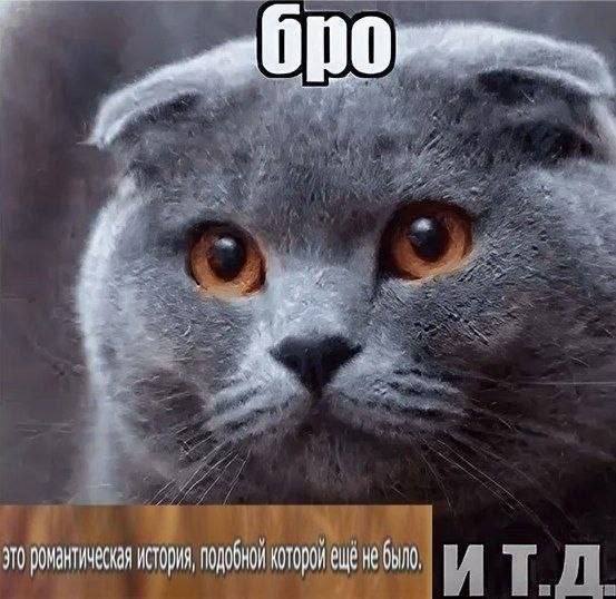 Кунабля - архонт балдежа tweet media