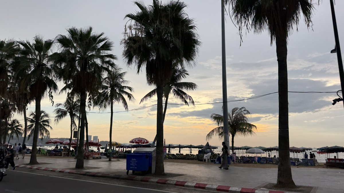 常夏の人🌴🇹🇭 tweet media