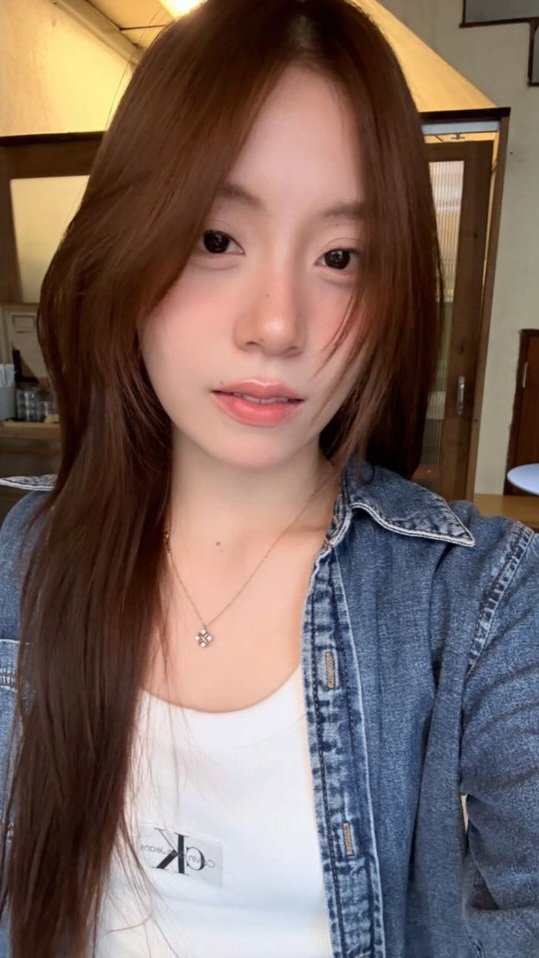 또또 tweet media