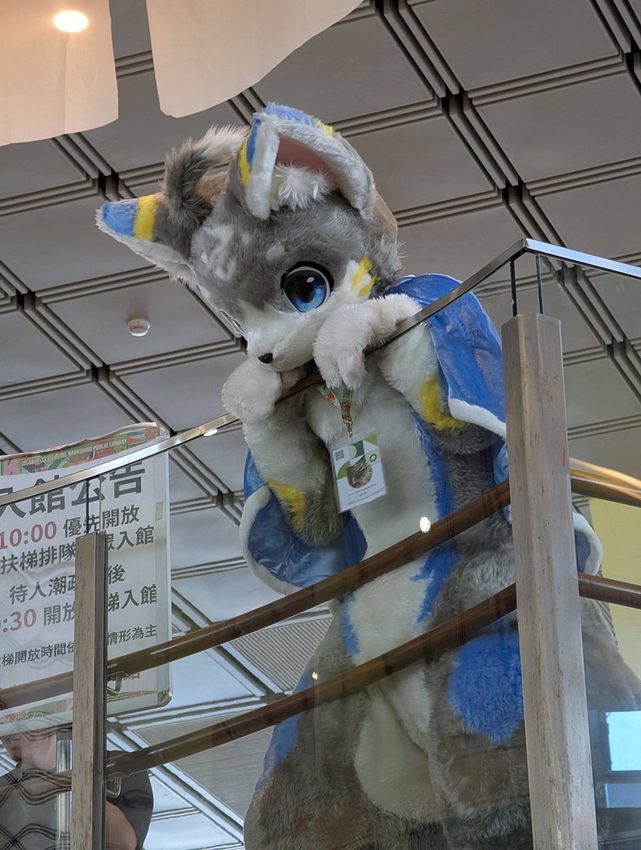 奇克 チク tweet media