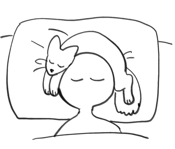 omitaxx's tweet photo. 最近の犬の寝方がこれで最高　犬に枕を取られるので頭で押してスペース確保してるんだけどテコでもどかない https://t.co/cYjg4ycH6W