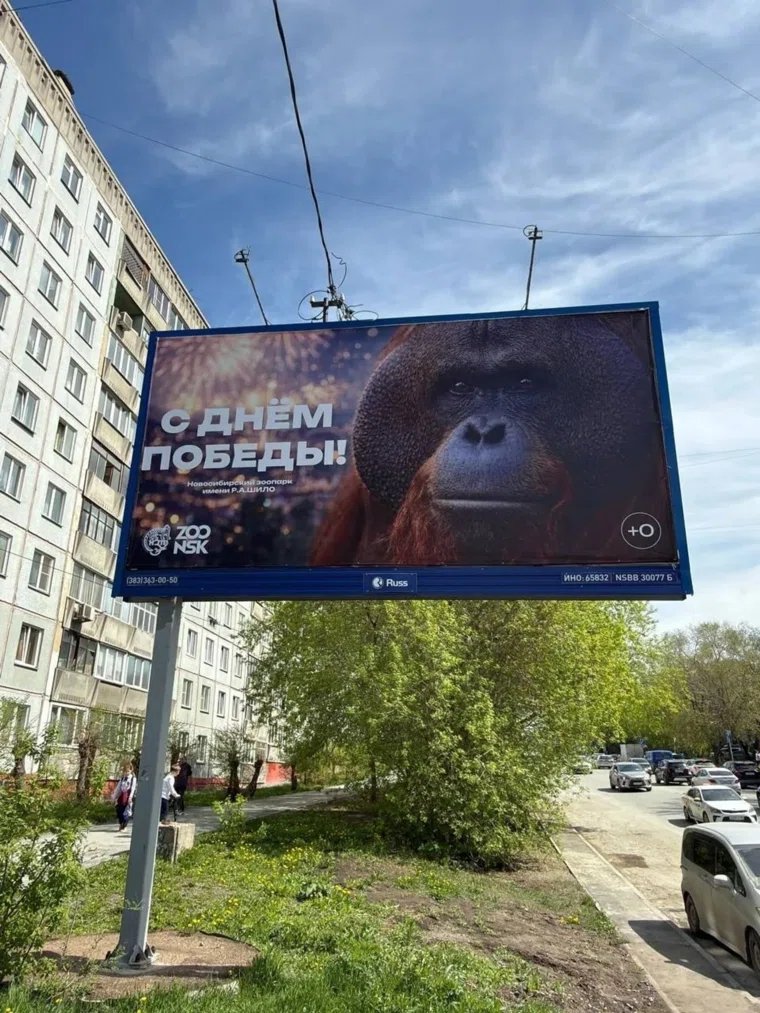Vyacheslav Gimadi tweet media
