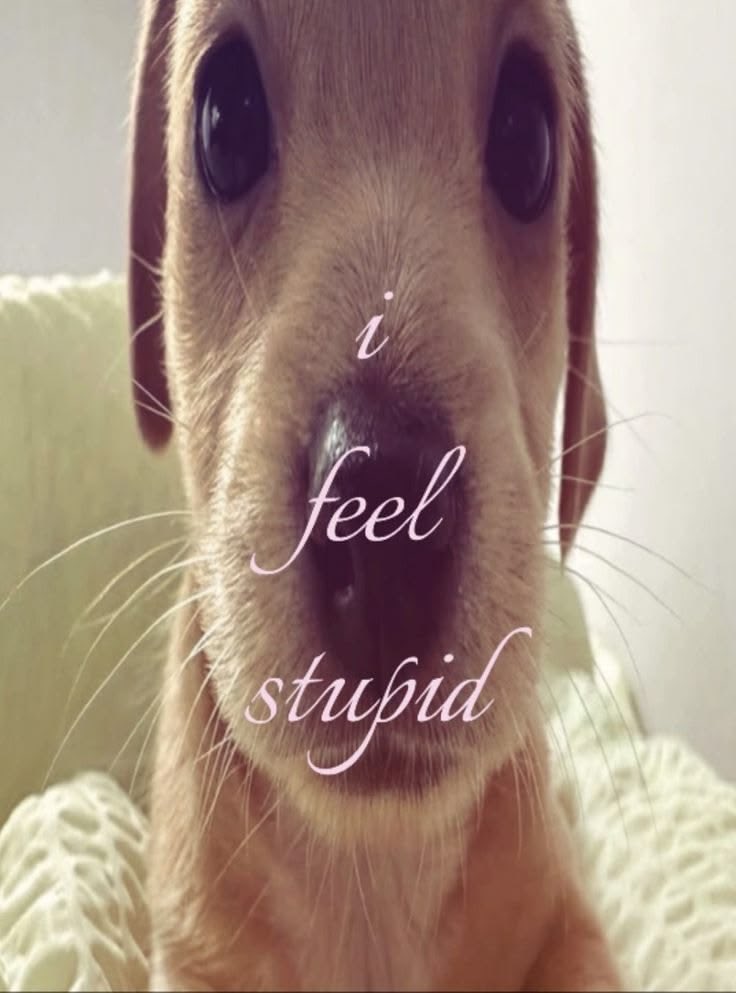  乙骨、 Yūta. tweet media