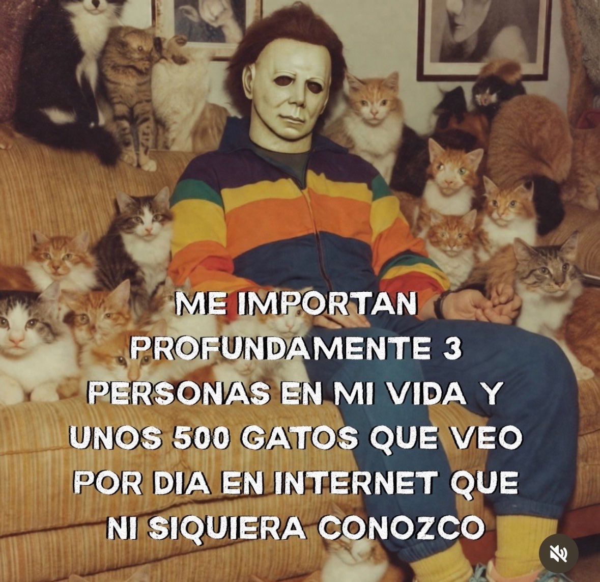 La Gata tweet media