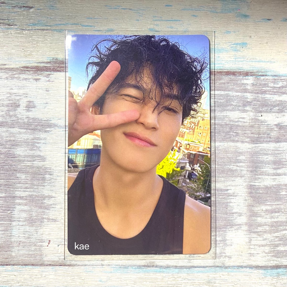 kae saw mingyu !! 🦋 tweet media