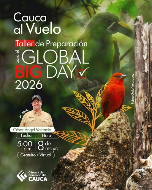 sincensurapop's tweet photo. #GlobalBigDay la @CCCauca invita a participar en una charla especializada con el experto César Ángel Valencia, quien compartirá herramientas clave para aprovechar esta jornada como promoción del aviturismo en el Cauca.
🧑‍💻Link de conexión: https://t.co/KVyIH8rqyz ¡Te esperamos! https://t.co/x4oEHvxjoa