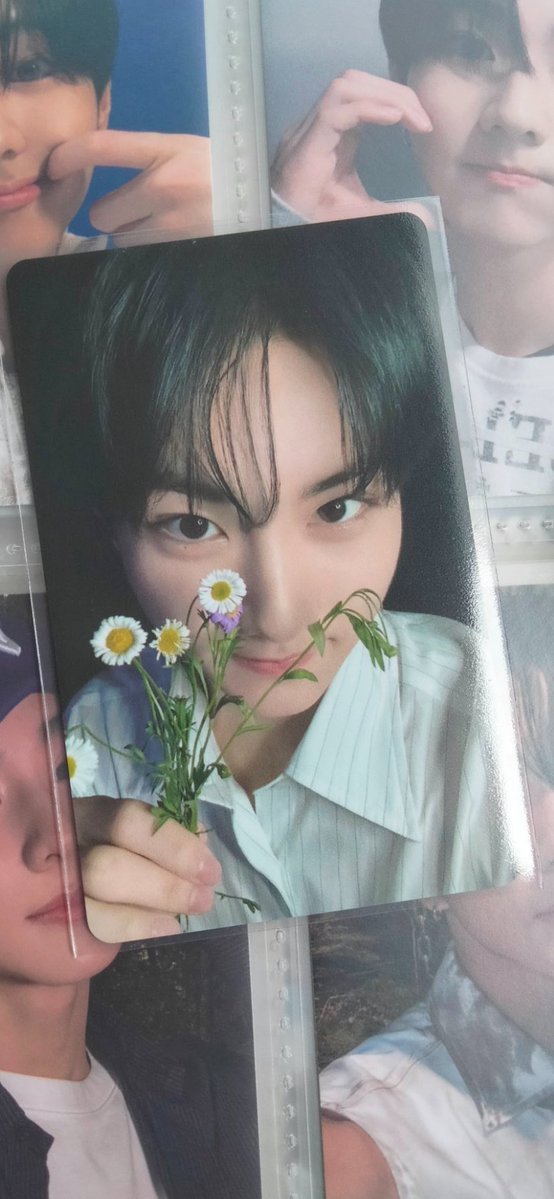 anne 🌱 tweet media