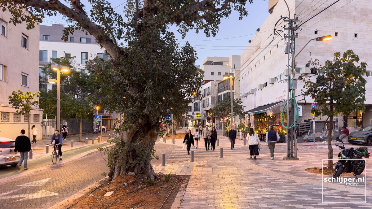 schlijperisrael's tweet photo. Tel Aviv, Simtat Sheva Shikmim, King George St
07/05/2026, 19:33 #treesTLV #walkTLV https://t.co/TJS4iXpKJP