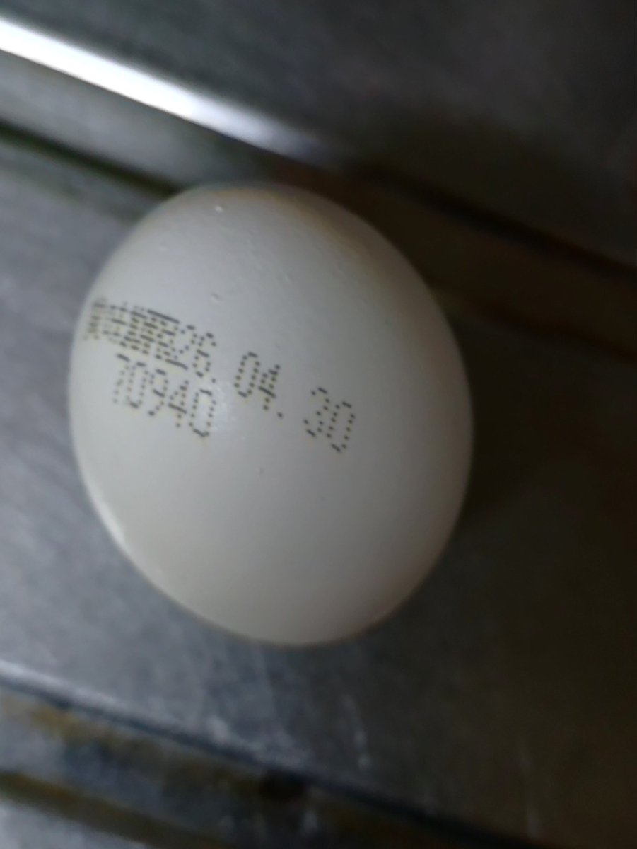 さっきカップ蕎麦に生卵落として贅沢やのフフフんなんて思って
連休前に買った事に今気付いたけど私は元気です。
