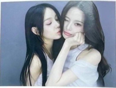 멧챠 tweet media