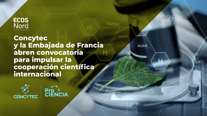 ProcienciaPeru's tweet photo. ¡Nueva oportunidad para fortalecer la cooperación científica internacional! “Movilizaciones con ECOS Nord Perú–Francia 2026”
👉 Conoce todos los requisitos, bases y detalles en la nota completa:
https://t.co/x80CuRDRBB
#Prociencia #Concytec #ECOSNord #CooperaciónInternacional https://t.co/QQTpS7PgTk