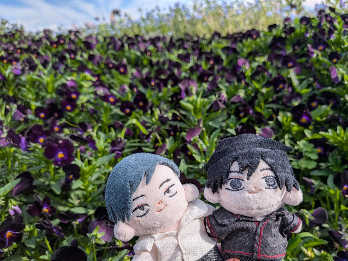 練馬偵察の偵察 tweet media