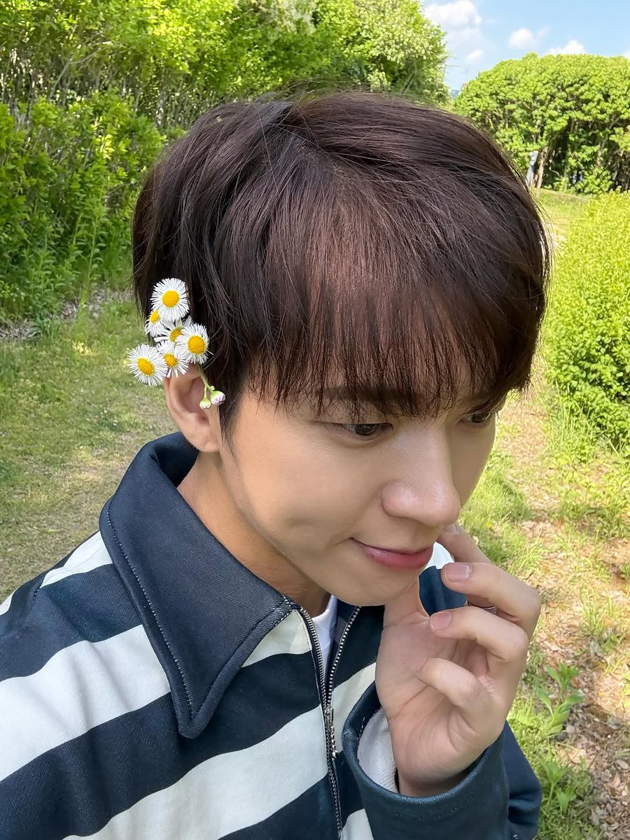 콩닥 tweet media