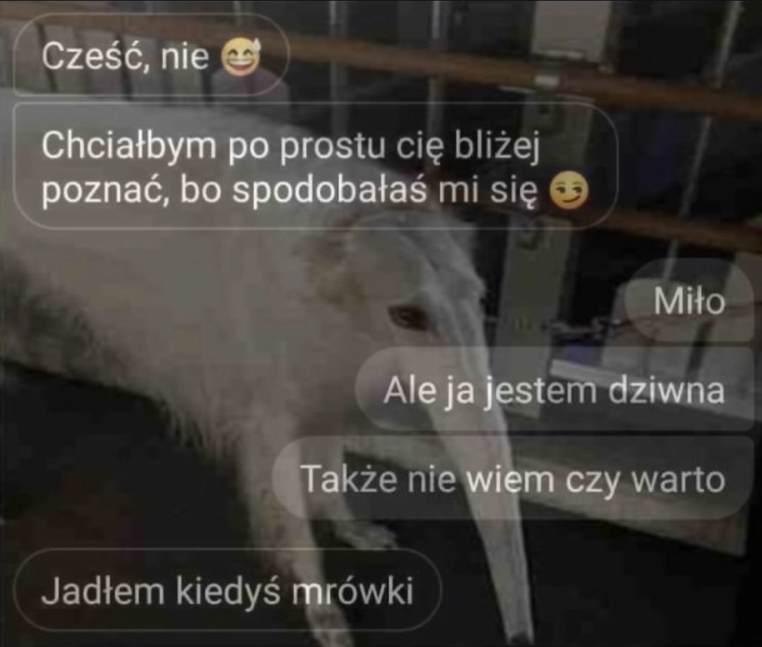 emoforsen tweet media