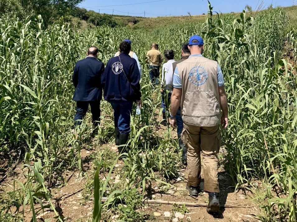 SwissAmbLEB's tweet photo. The Arka irrigation scheme is supported under a project of @MoaLebanon and @FAOLebanon, funded by🇨🇭. Through improved irrigation, climate-smart agriculture, and collaboration w/ farmer‚ water user associations, the project increases revenues, supports livelihoods &amp; saves water💧 https://t.co/G0FKQadNzL
