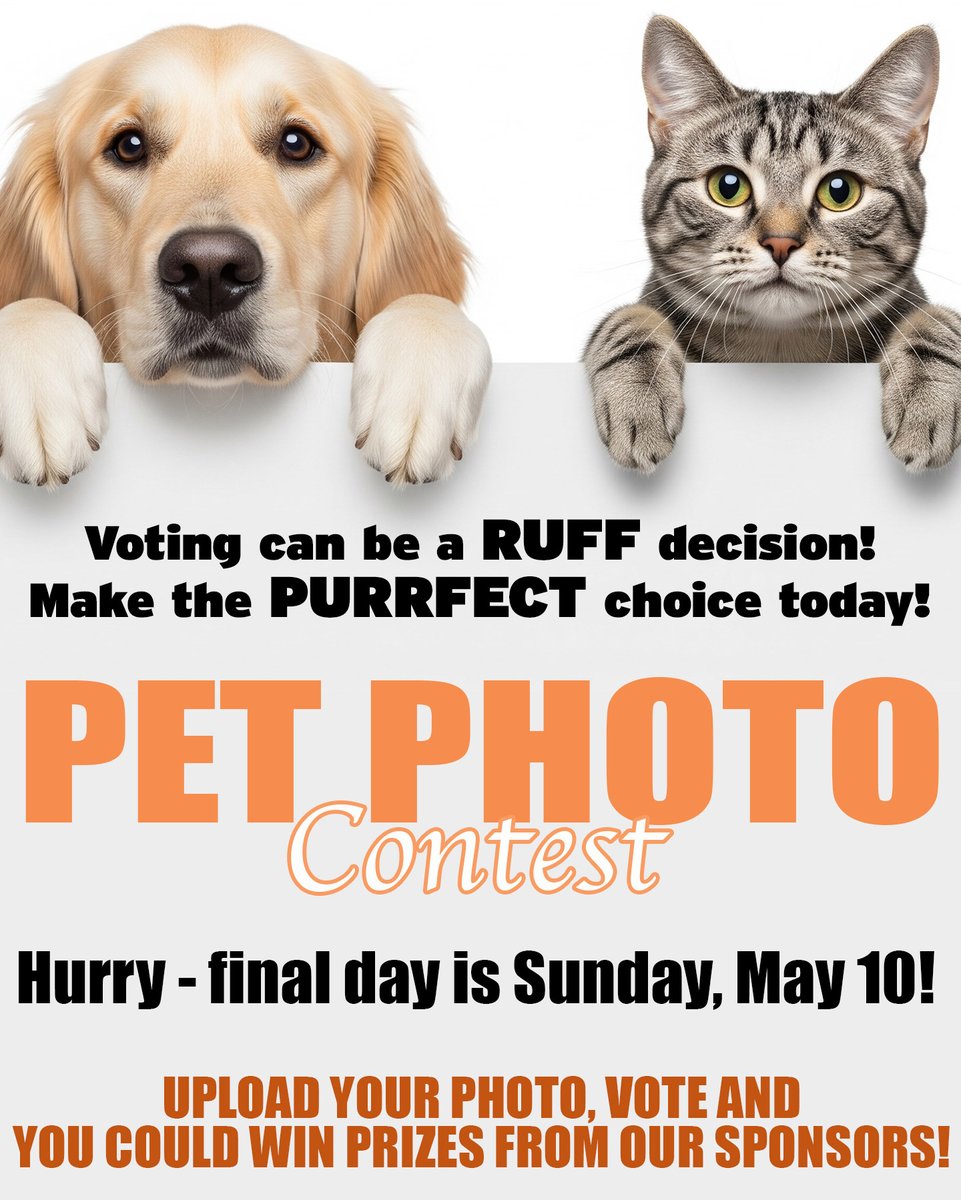 SCSSentinel's tweet photo. 🐾📸 WARNING: Your productivity may drop dramatically after viewing these adorable pet photos.

The entries for our 2026 Pet Photo Contest are officially TOO CUTE. From zoomies and costumes to sleepy side-eyes and superstar smiles — the competition is getting fierce.

Now it’s yo https://t.co/OOqcfjSRFs