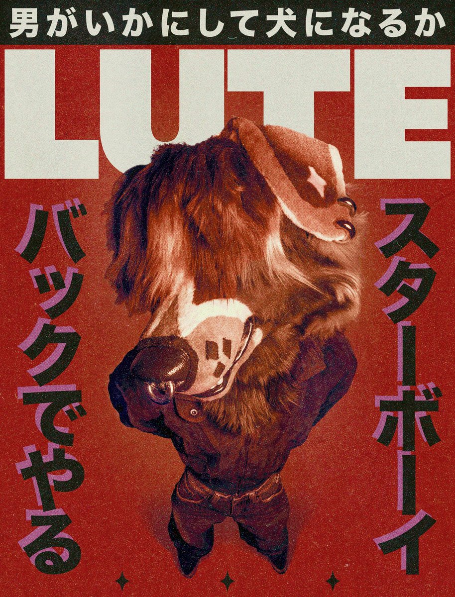 ✧ Lute ✧ tweet media