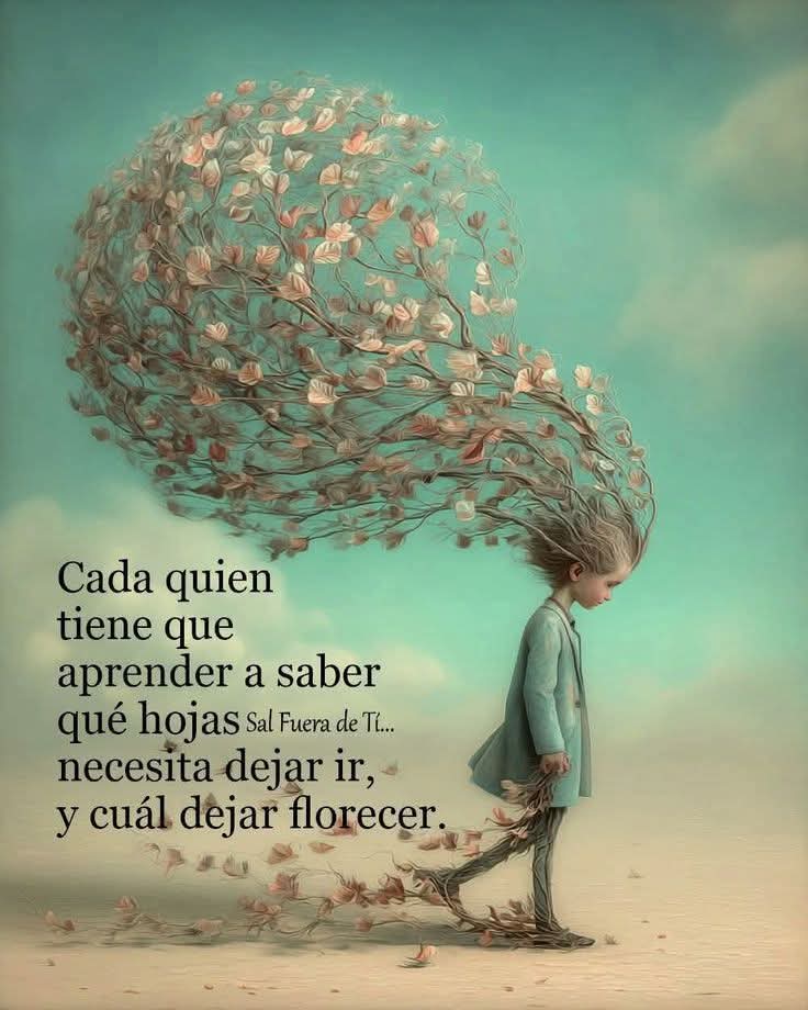 Gerardo Rodriguez N tweet media
