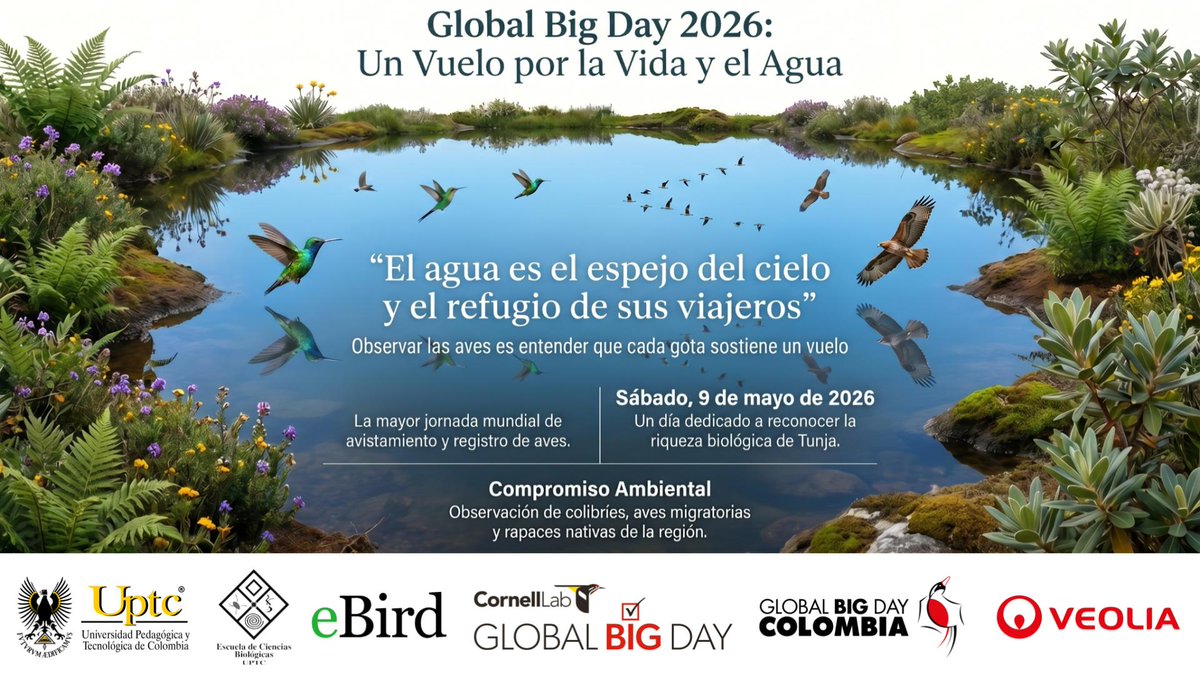 El agua es el espejo del cielo. 🦜💙 Este sábado, 9 de mayo, nos sumamos al #GlobalBigDay para reconocer la riqueza biológica de #Tunja. Junto a aliados estratégicos, celebramos la conexión vital entre el recurso hídrico y las especies que habitan nuestro territorio. 💦🦅