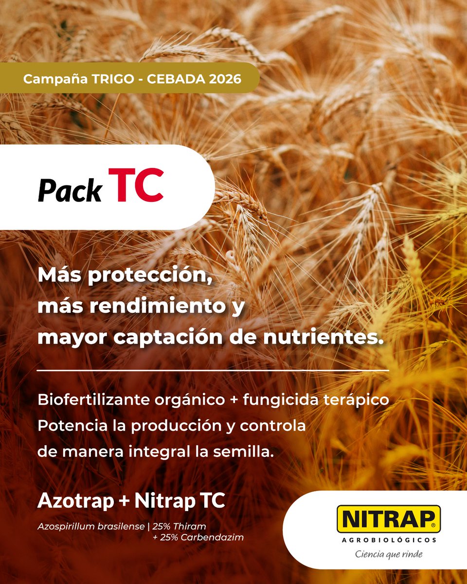 Nitrapagro's tweet photo. 🛡️ Protegé tu campaña de fina desde la semilla y lográ un rendimiento sostenible.

Con #PackTC, un combo de biofertilizante orgánico y fungicida terapéutico! 🌾

#NitrapAgrobiológicos
Ciencia que rinde

#TratamientoDeSemillas #CampañaFina #BiofertilizanMásFungicida https://t.co/FeST5nixtV