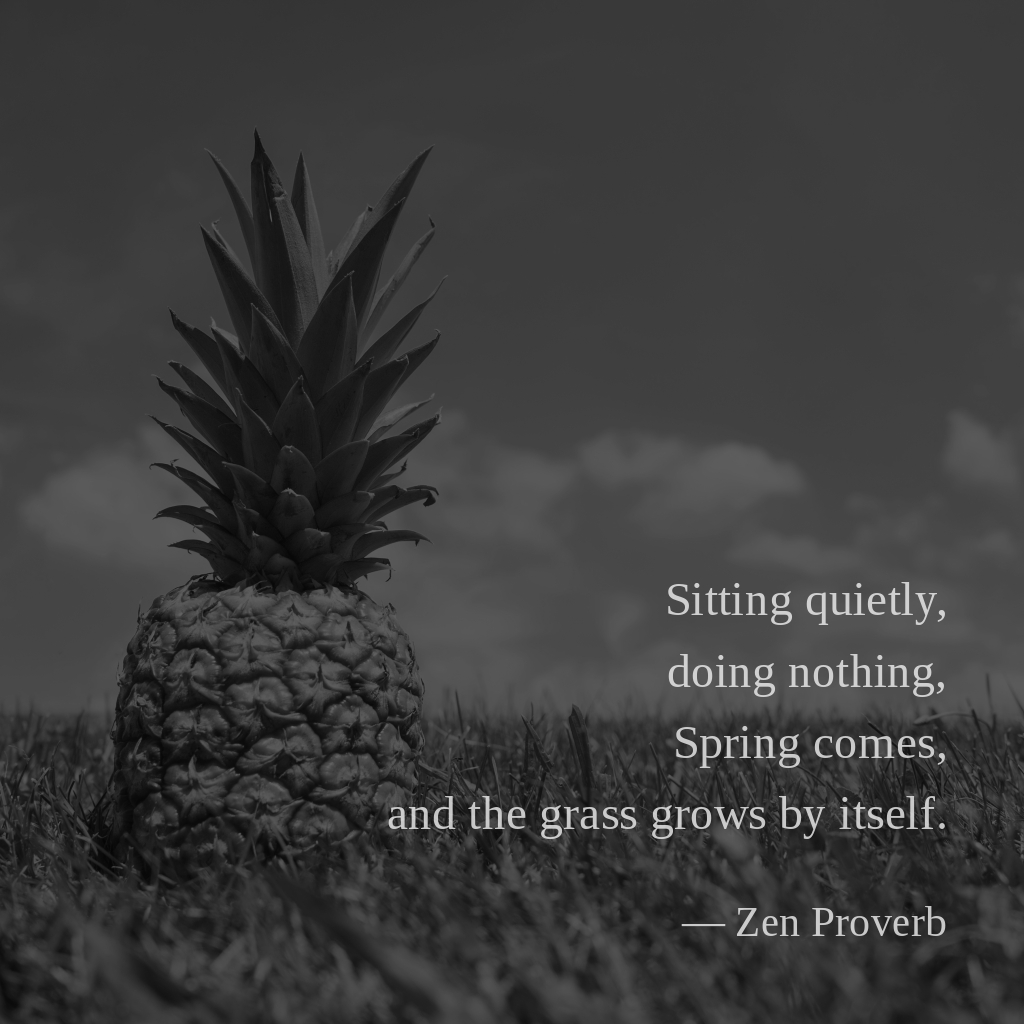 wectar's tweet photo. Sitting quietly, doing nothing, Spring comes, and the grass grows by itself. —Zen Proverb
#ZenProverb #quietly #nothing https://t.co/8z6fQXXiG6