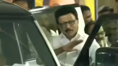 Trollywood 𝕏 tweet media