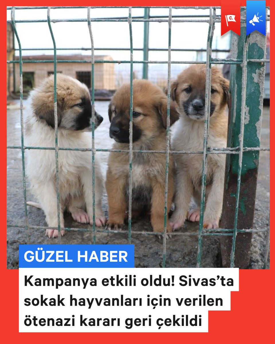 Change.org Türkiye tweet media