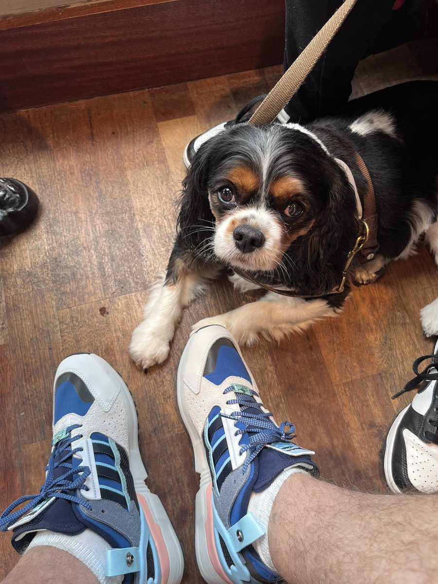 Friday sharing, having a mooch with our Lola. Zx10000 “Crater lake