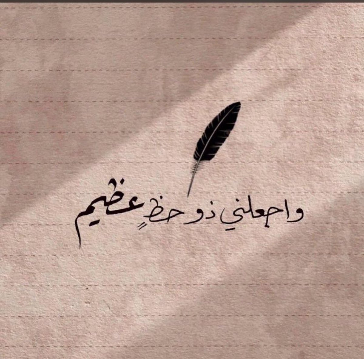 ﮼طارق tweet media