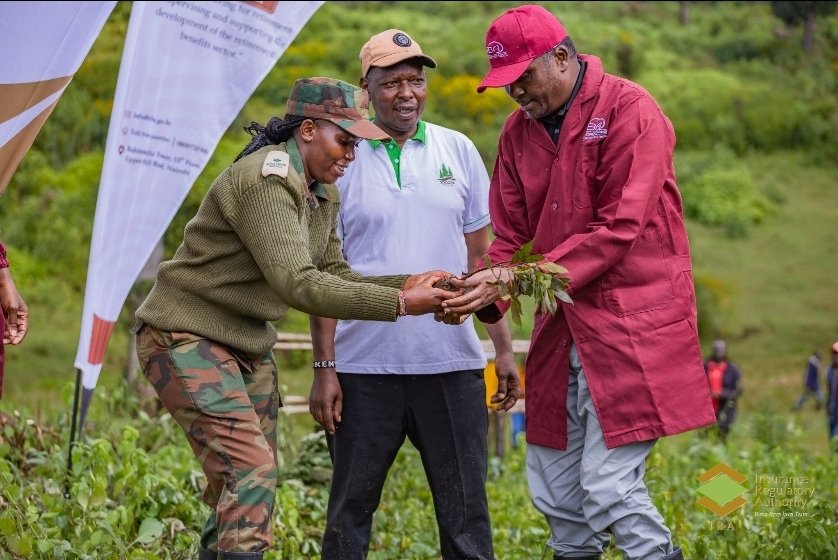 RBAKenya's tweet photo. We’re growing more than just forests; we’re cultivating the discipline it takes to prepare for the future. Today’s effort is tomorrow’s security.
​#RBATreePlanting #FinancialSecurity #CompoundGrowth #InvestInNature https://t.co/1O9DjBCktU