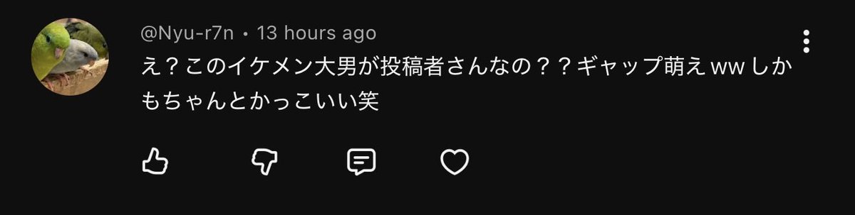 i had to face reveal on youtube so people knew who to look for at miku expo and now i have japanese bros acknowledging my gap moe in my comments