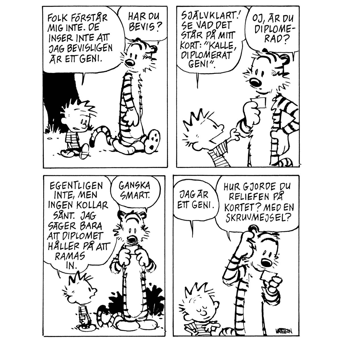 ”Folk förstår mig inte. De inser inte att jag bevisligen är ett geni.”