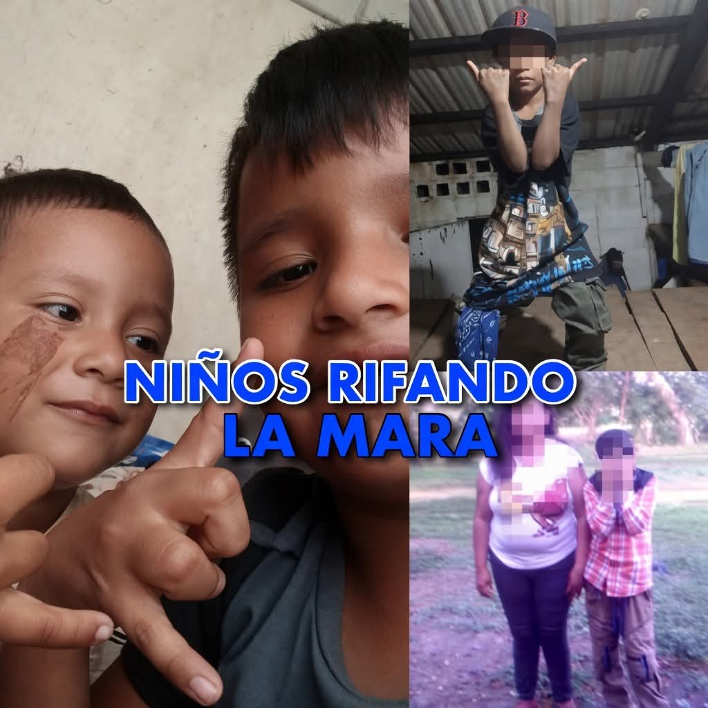 EL JUSTICIERO SV 🇸🇻 tweet media