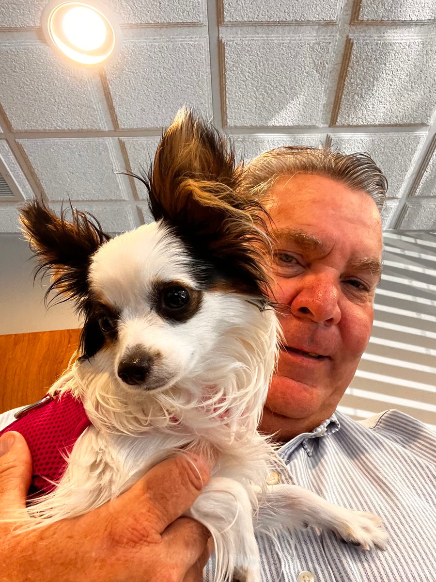 simaskolaw's tweet photo. Include your furry family members in your estate plan; they deserve protection, too! 🐾

#EstatePlanning #PetEstatePlan #FurFamily #PetProtection #LegacyPlanning #PetLovers #TrustsAndWills #LegalAdvice #ProtectYourPet https://t.co/F1nP8zOb4f