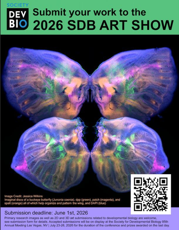 Society for Developmental Biology tweet media