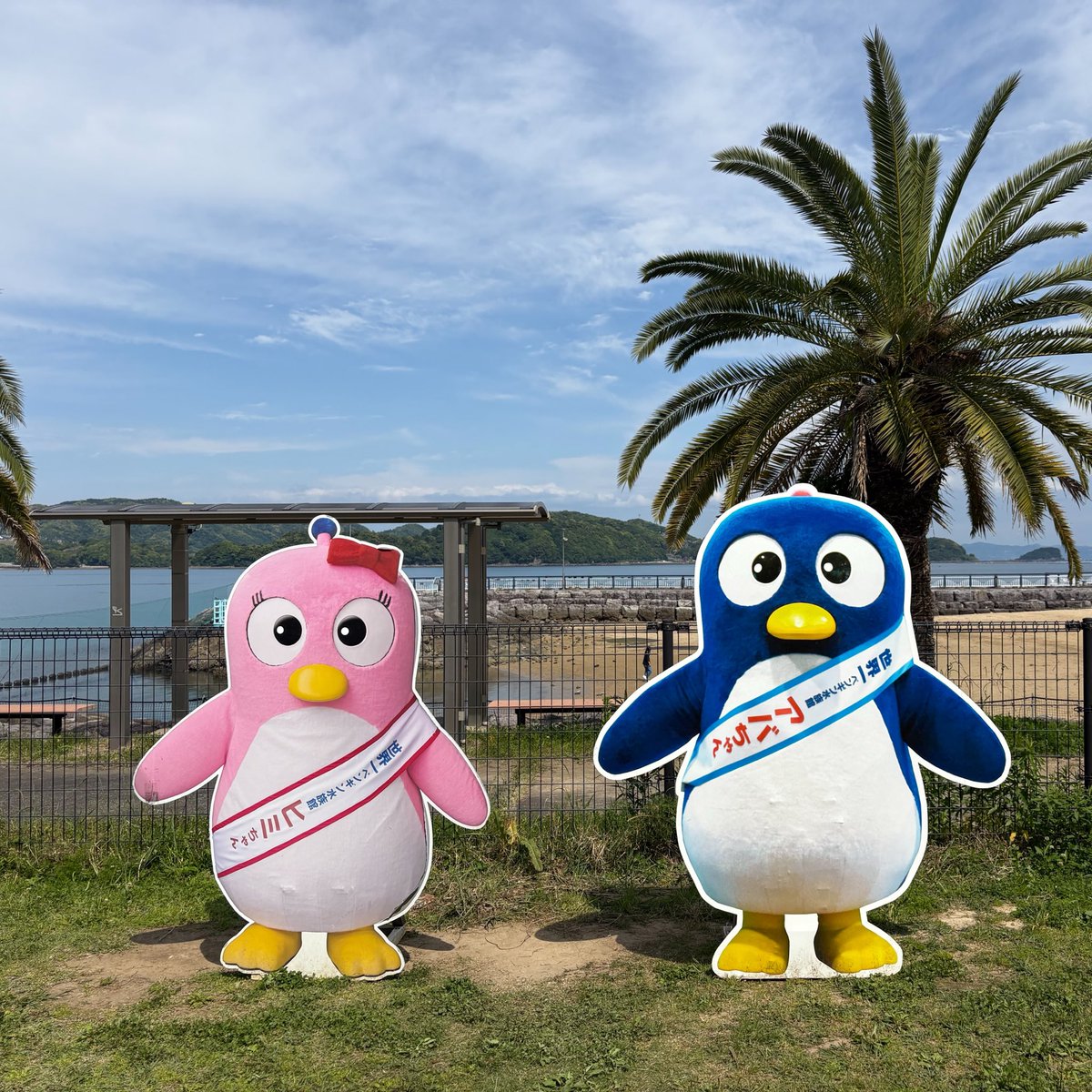 fuk_nora's tweet photo. 近くでペンギン見れるのテンション上がるよなぁ。ペンギン飼育種類数が世界一らしい。それにしても、シュールなキャラ抱えてんなぁ。#長崎ペンギン水族館 https://t.co/Q2mHXzbacl