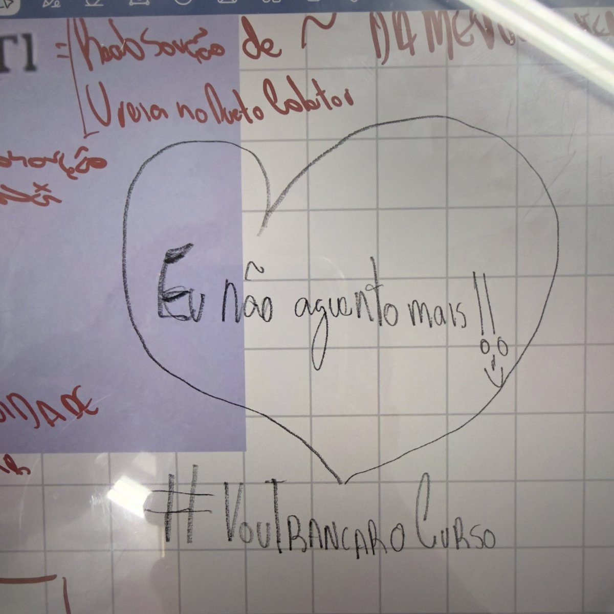 Bernardo Ciminelli tweet media