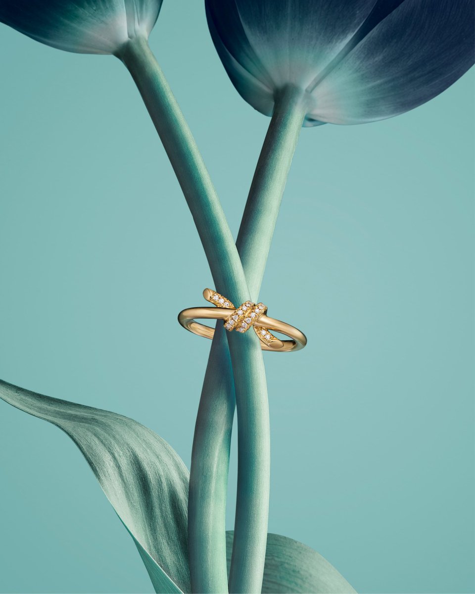 TiffanyAndCo's tweet photo. Where the truest love begins. This Mother’s Day, Knot by Tiffany honors the beauty of a connection that holds strong. Pairing organic 18k gold twists with pavé diamonds and unexpected edges, Knot echoes a love that lasts a lifetime. #TiffanyAndCo #ATiffanyMothersDay

Discover more: https://t.co/HddqbgyjUQ