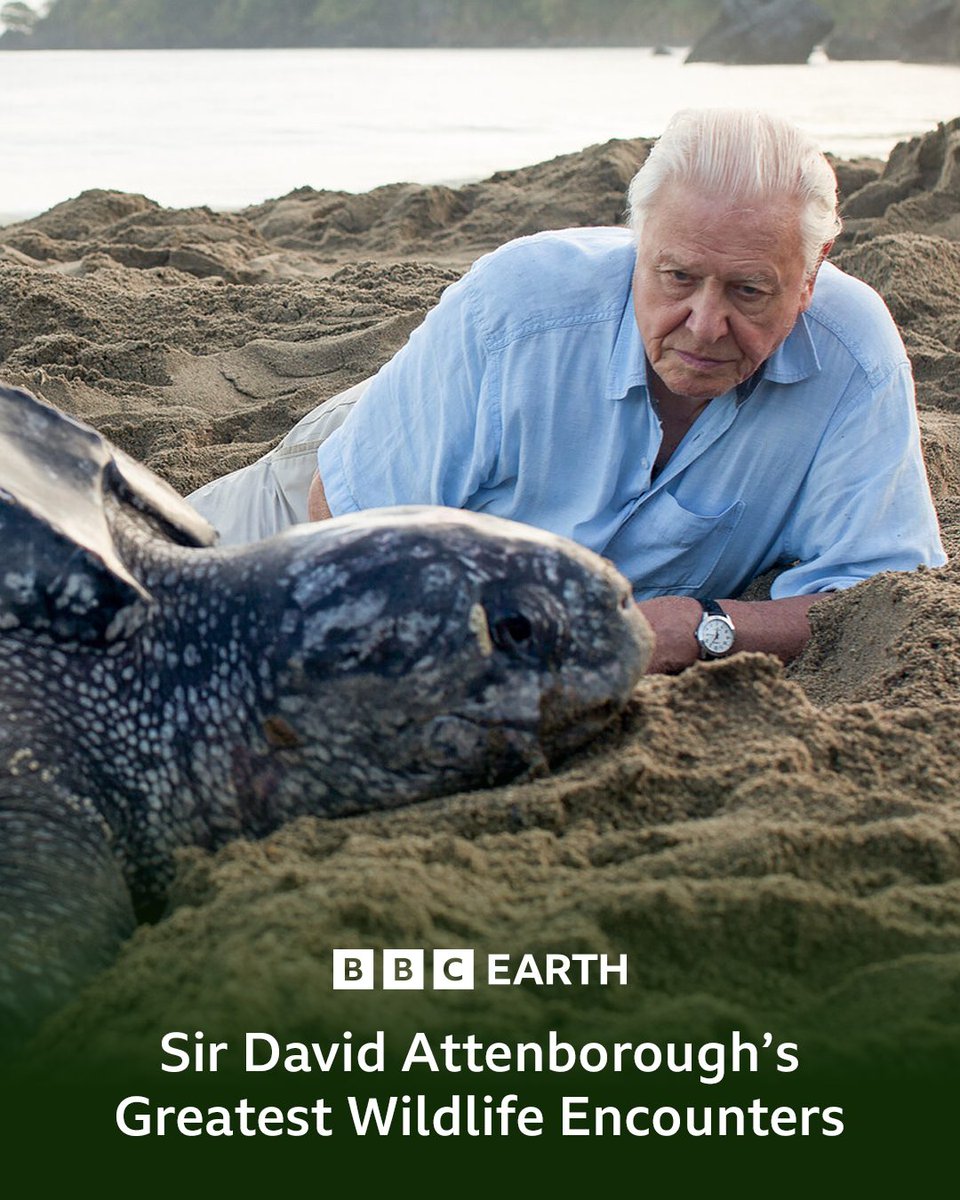 BBC Earth tweet media