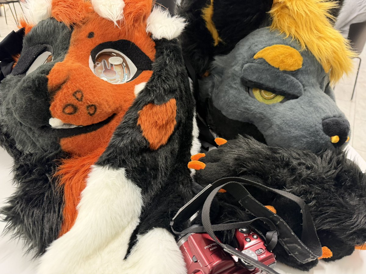 Stonerpandas🔜FWA tweet media