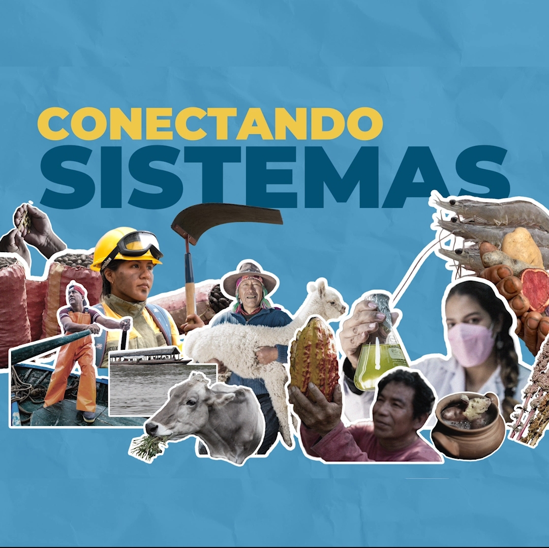 FAO Perú tweet media