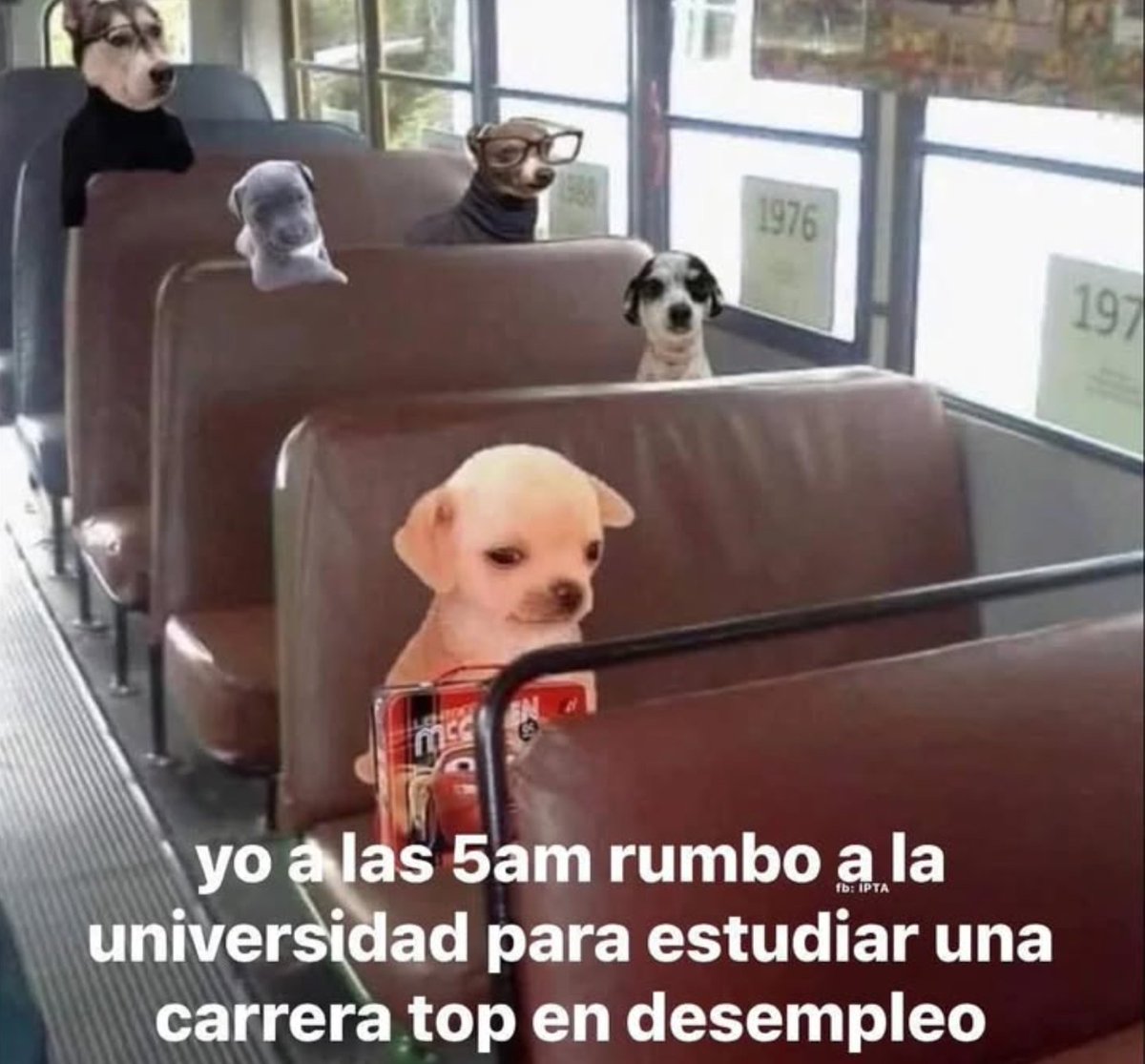 y la primera carrera que reemplazará la IA 🔥😂