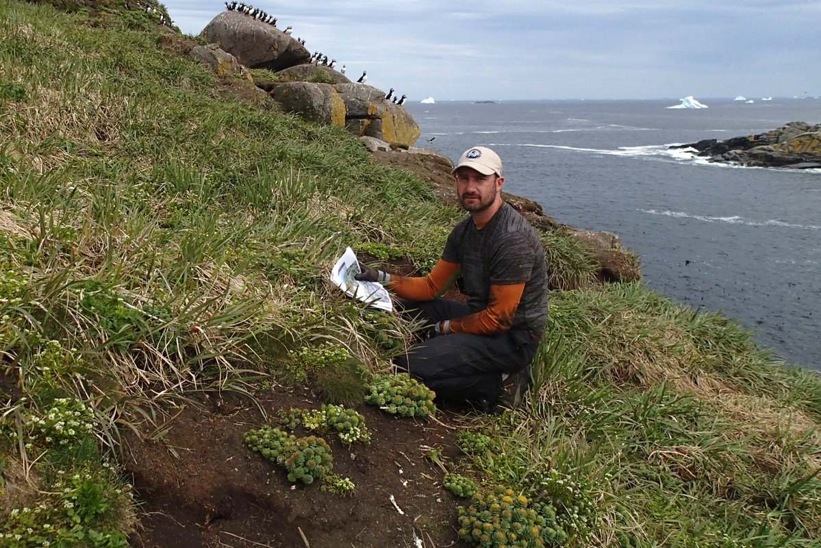 Environment Canada tweet media