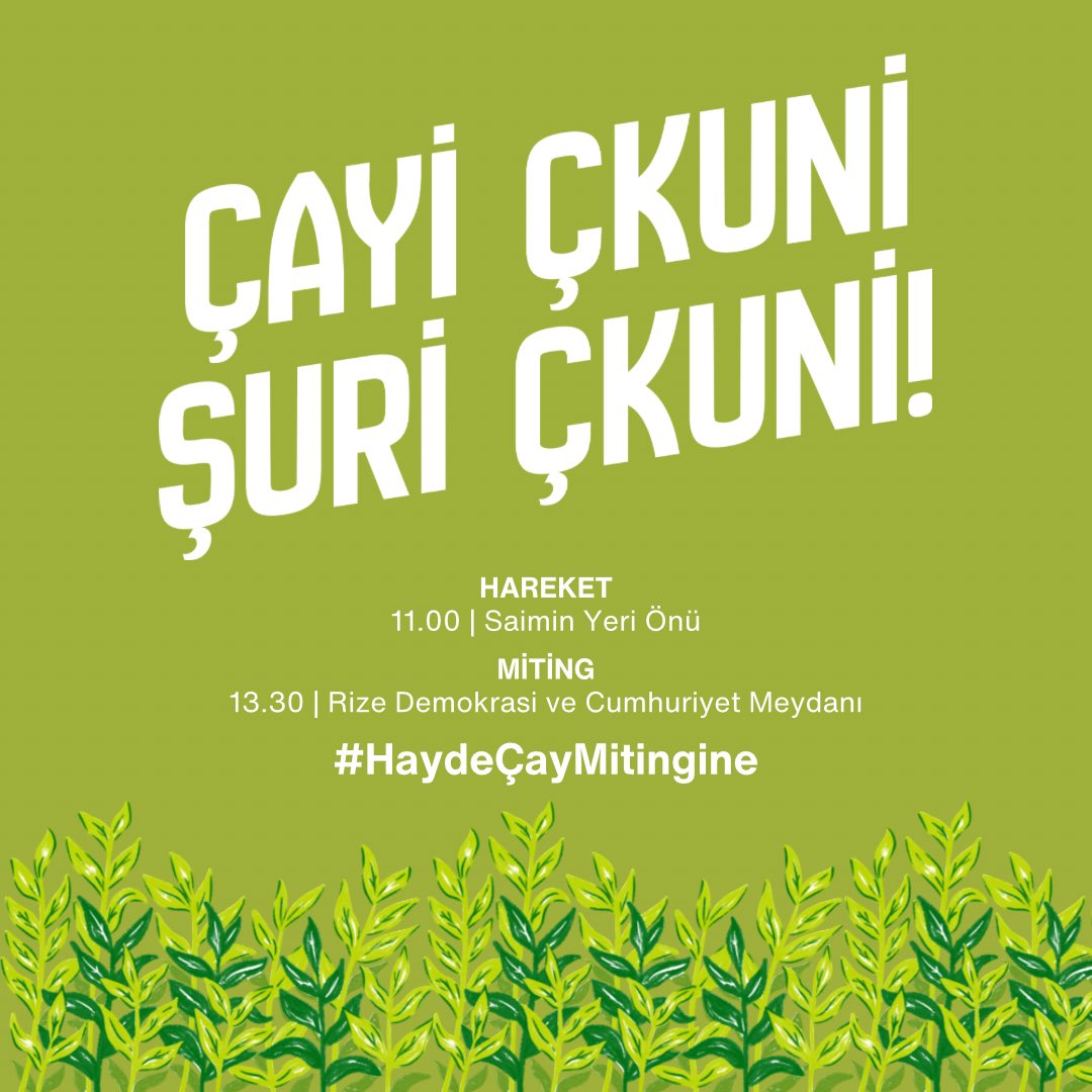 Ercüment Ş. Çervatoğlu tweet media
