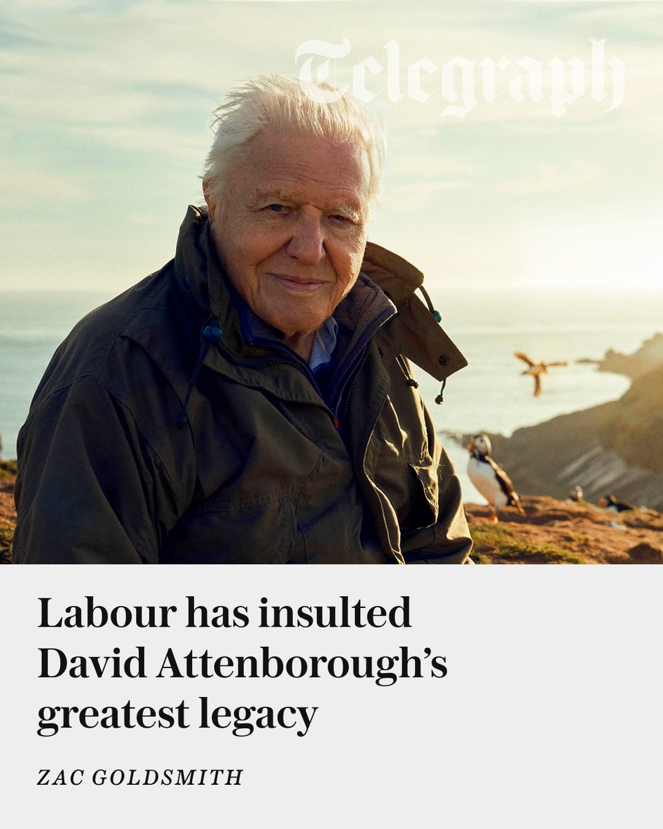 The Telegraph tweet media