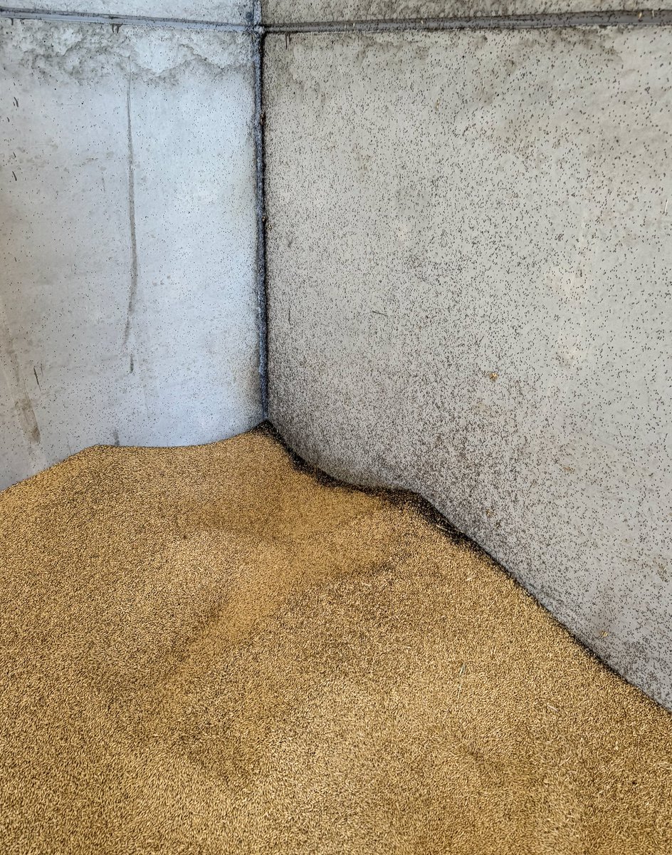 The Grain Geek tweet media