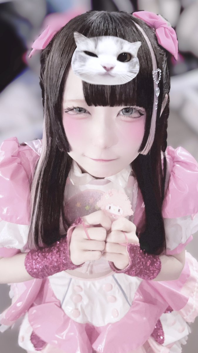 てんてこさん　エブリースキン 得意げなときの顔 🐾🎀