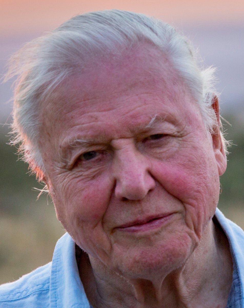 CarlBovisNature's tweet photo. Happy 100th Birthday to Sir David Attenborough! 🎉
 Quite possibly the greatest living human on earth!
 THE voice of nature & wildlife for my entire lifetime, THE inspiration for every environmentalist...if we all cared about life on earth even a fraction of what Sir David does, we wouldn't now be facing a global biodiversity crisis..
  Sadly, I never got to meet Sir David, but his presence in my life far outweighs the vast majority of people that I have met... such is his standing and legendary status. 😍
  Have a fantastic day Sir David... and THANK YOU! 🙏🐦❤️🎉